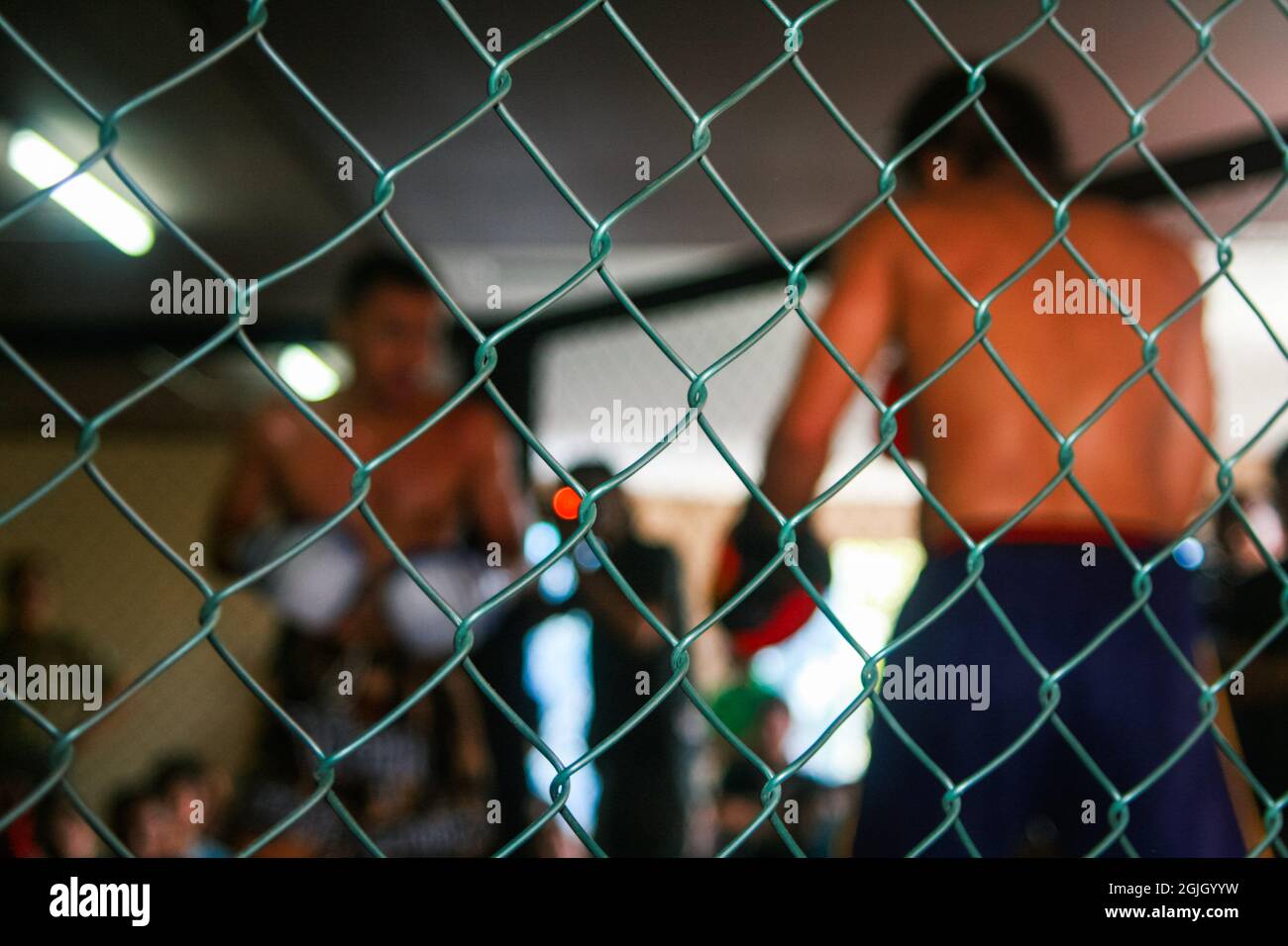 Due combattenti MMA (Mixed Martial Arts) che combattono dietro una gabbia metallica. Foto Stock