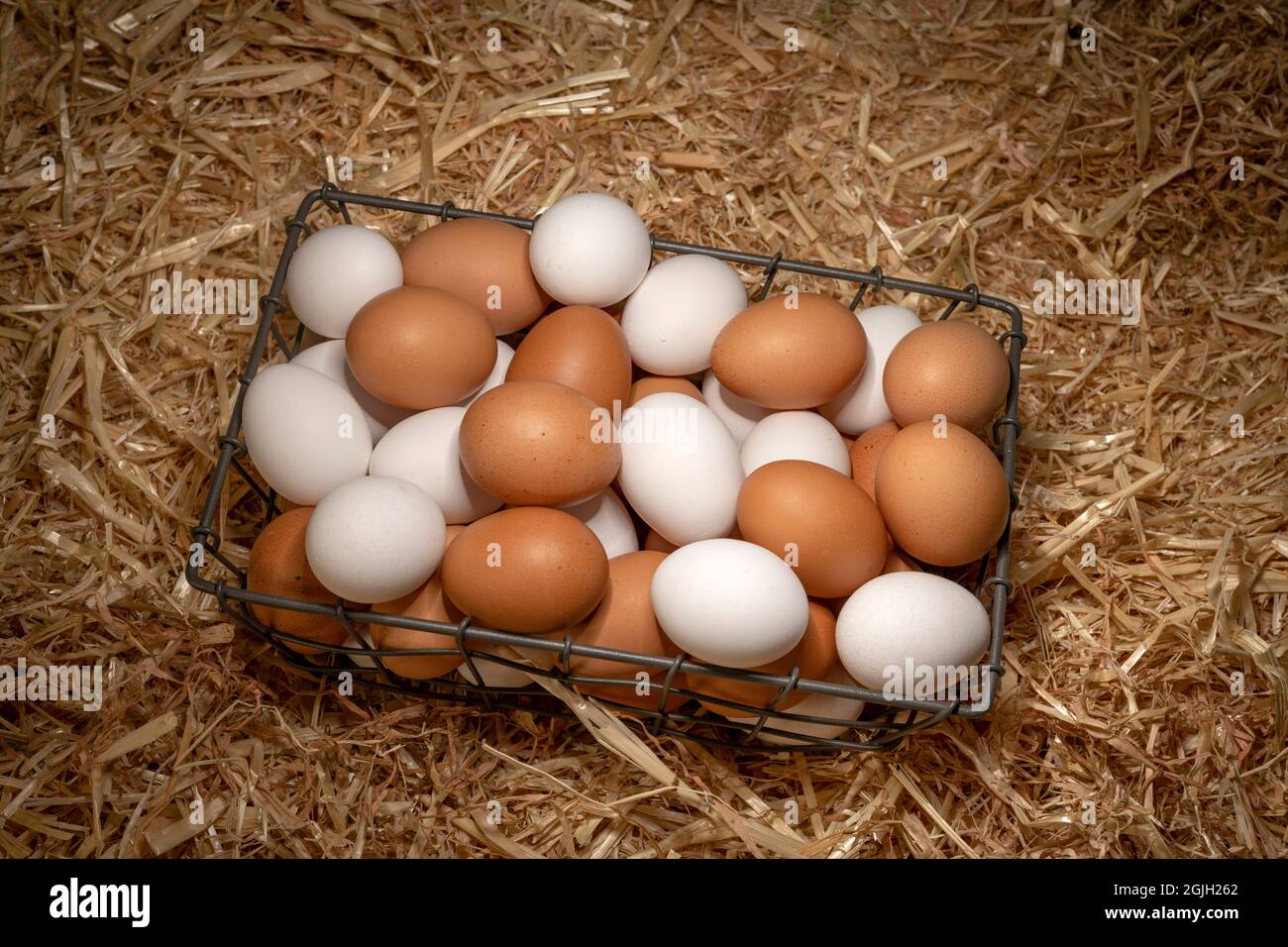 Un piccolo cestino di uova fresche di colore marrone e bianco che siede su uno strato di fieno in un fienile. Foto Stock