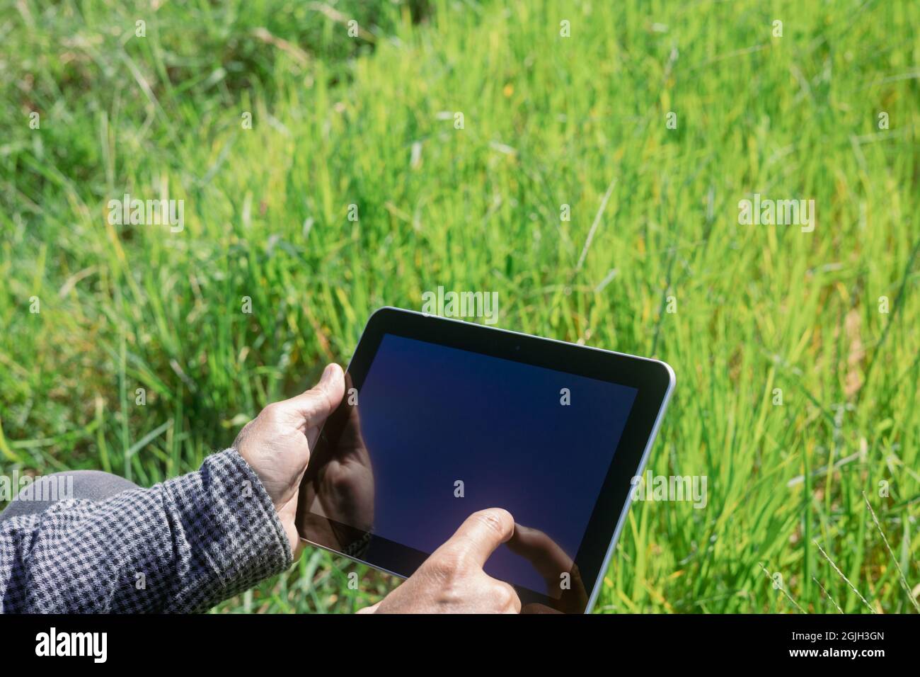 L'agricoltore intelligente utilizza un tablet per monitorare e analizzare le colture nella sua azienda durante una giornata di sole. Foto Stock