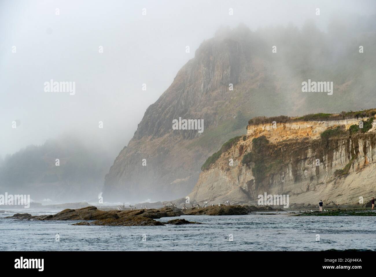 Le promontori resistono alle onde sulla costa dell'Oregon, USA. L'alto è costituito da basalto; quello inferiore presenta arenaria inclinata sotto una terrazza marina. Foto Stock