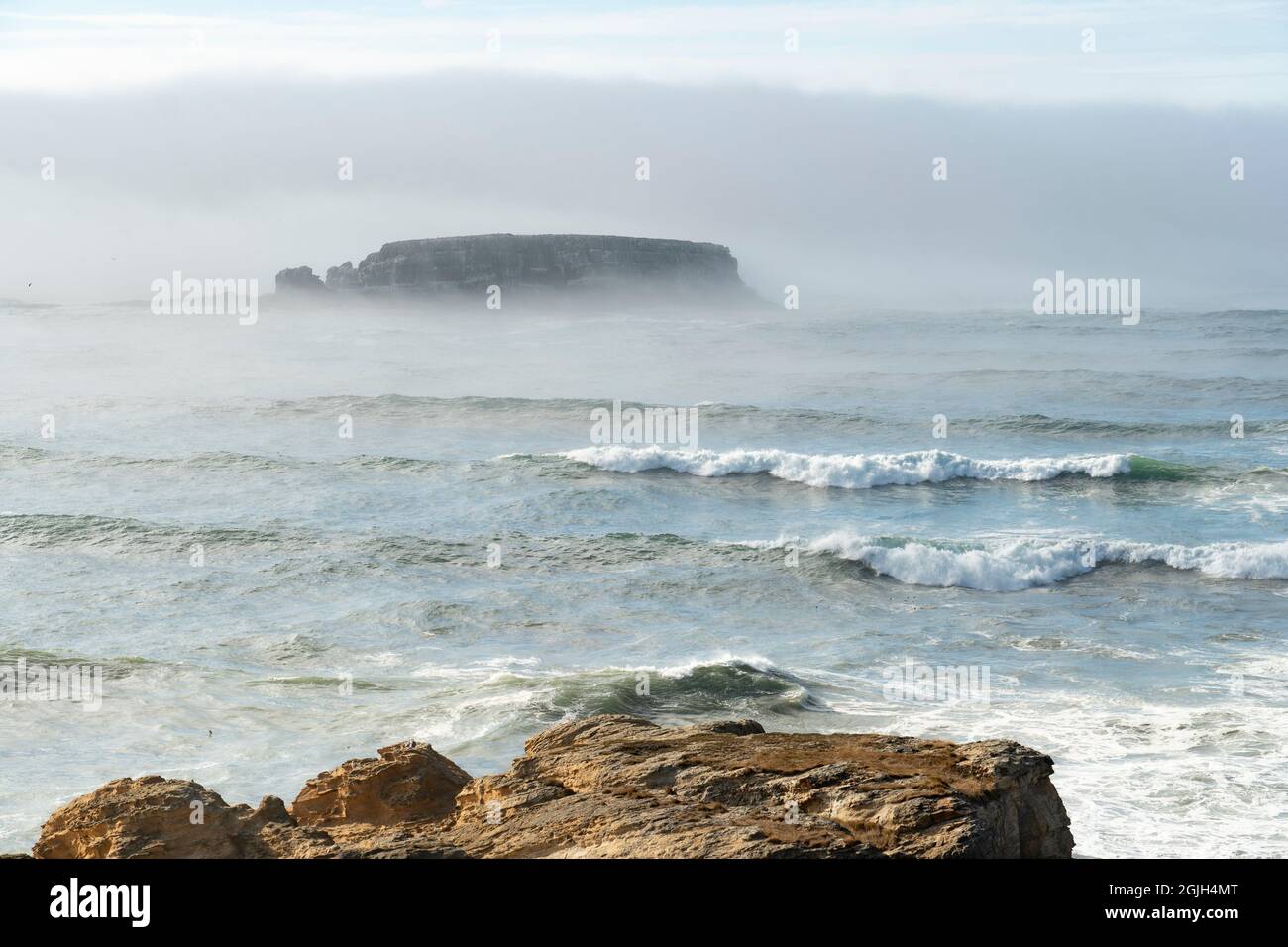 Gull Rock, una bassa catasta di mare, emerge dalla nebbia costiera, Oregon, Stati Uniti Foto Stock
