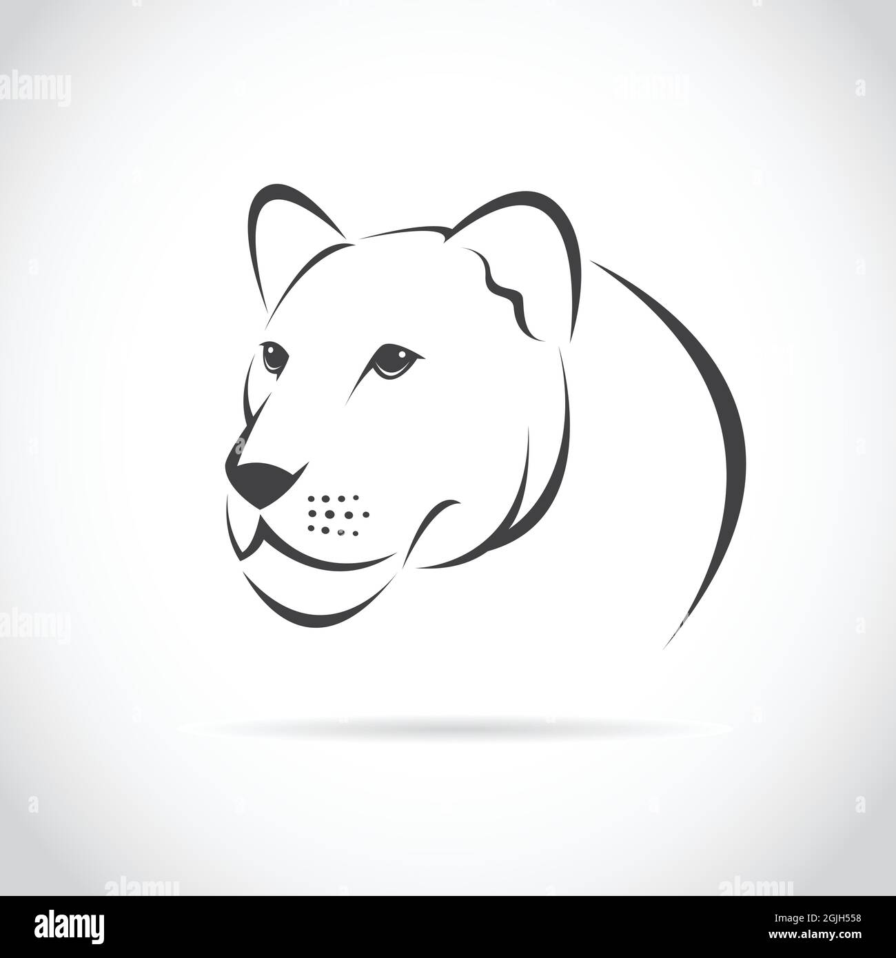 Immagine vettoriale di una testa di leone femminile su sfondo bianco. Illustrazione vettoriale a livelli facilmente modificabile. Animali selvatici. Illustrazione Vettoriale
