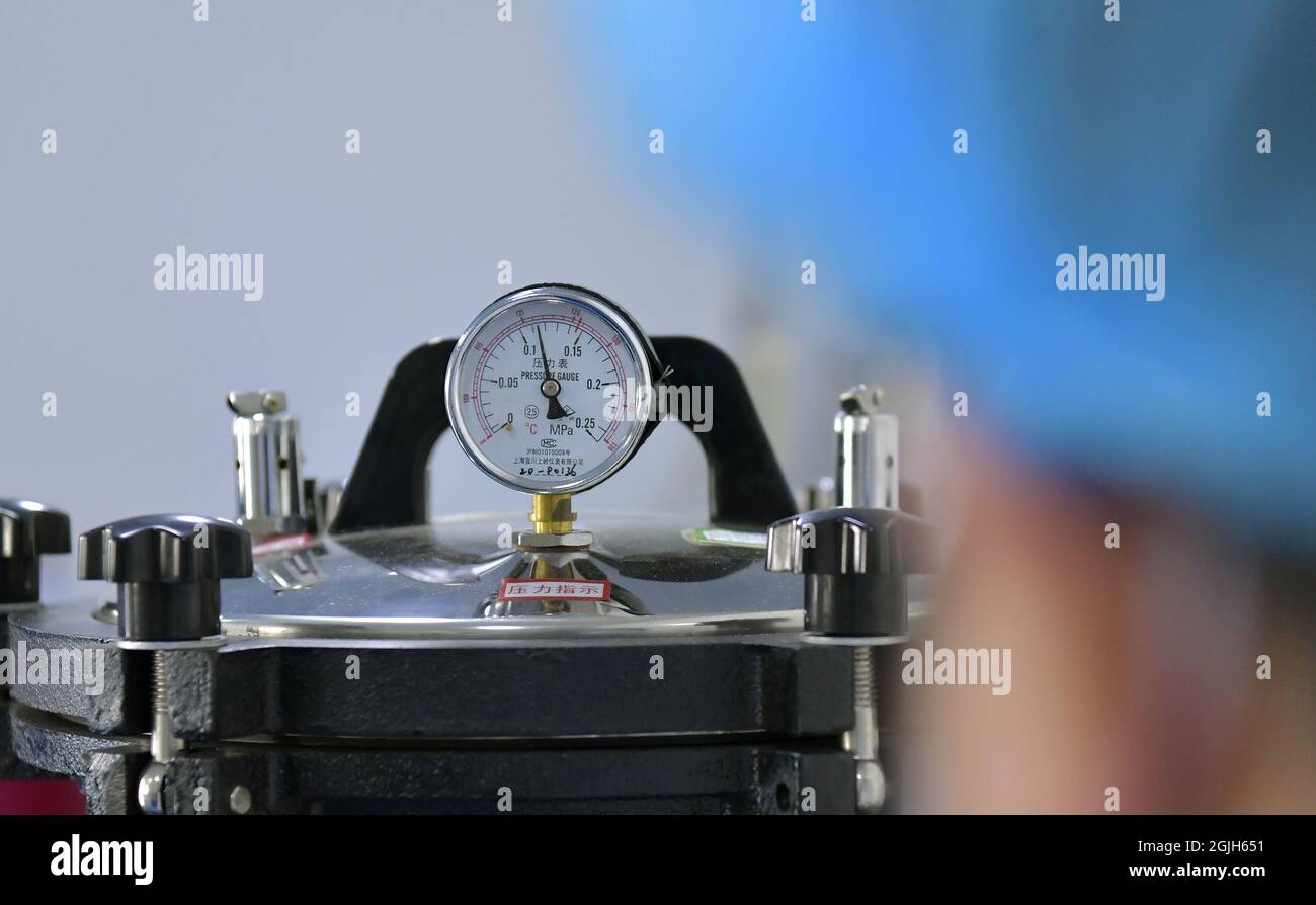 Cangxian, la provincia cinese di Hebei. 9 Settembre 2021. Un tecnico lavora presso il laboratorio di un'azienda di materiale di confezionamento farmaceutico nella contea di Cangxian, nella provincia di Hebei, nel nord della Cina, 9 settembre 2021. Nella contea di Cangxian ci sono più di 1,000 produttori di materiali da imballaggio farmaceutici. Credit: Luo Xuefeng/Xinhua/Alamy Live News Foto Stock