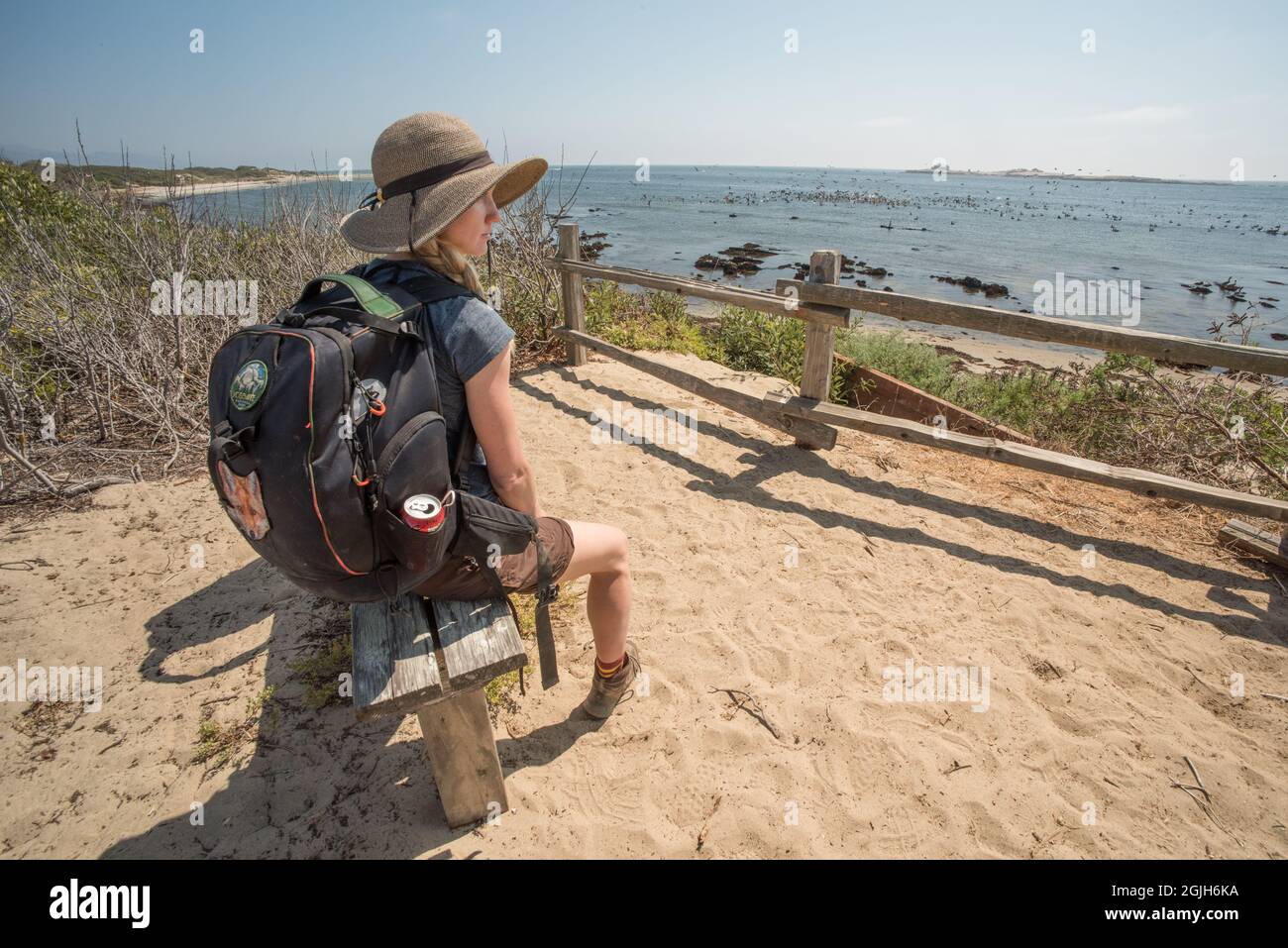 Una donna escursionista siede su una panchina al parco statale Ano Nuevo sulla costa occidentale del Nord America in California, USA. Foto Stock