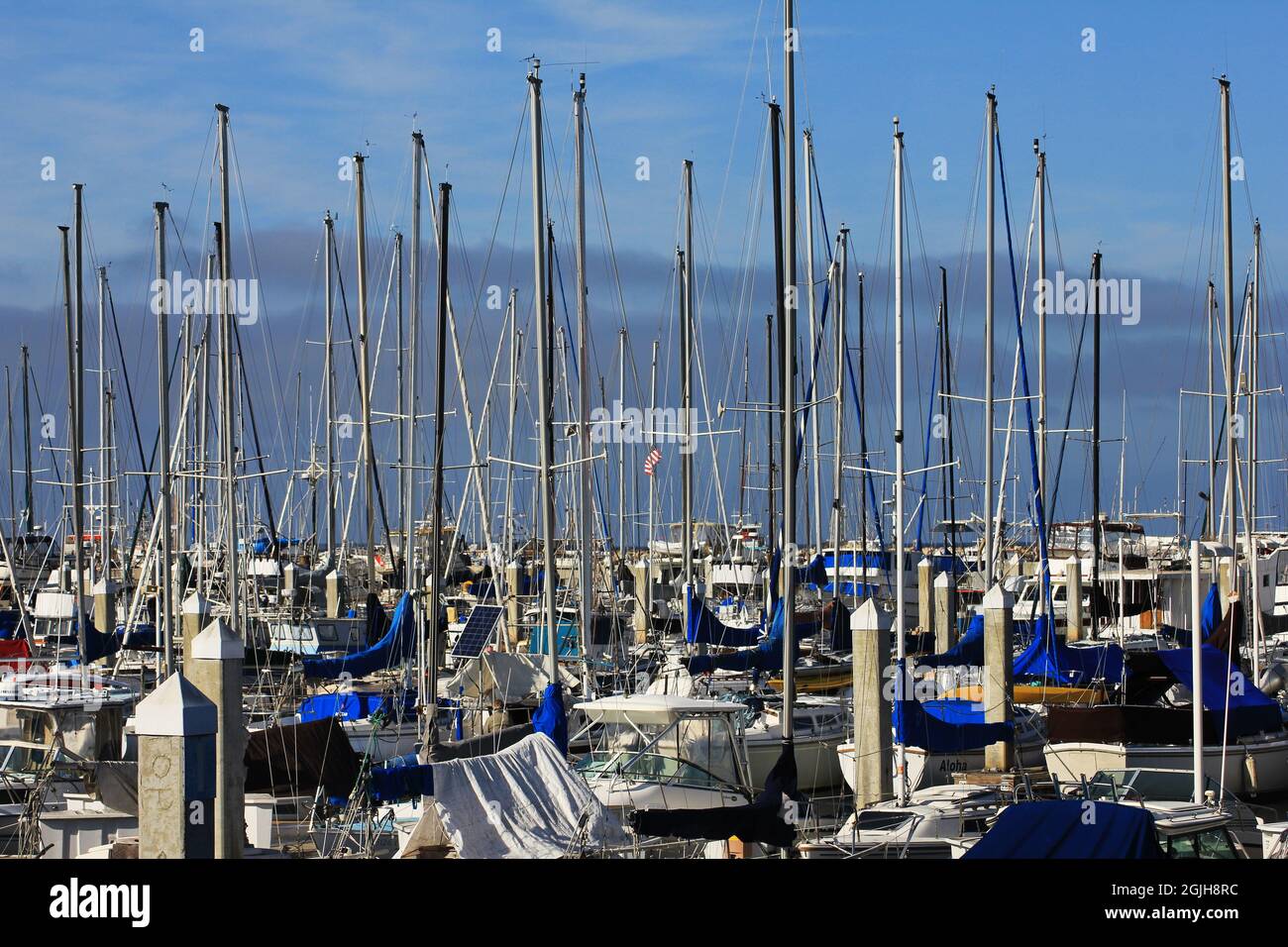 I alberi sorgono da barche a vela ormeggiate in un porto turistico affollato. Foto Stock