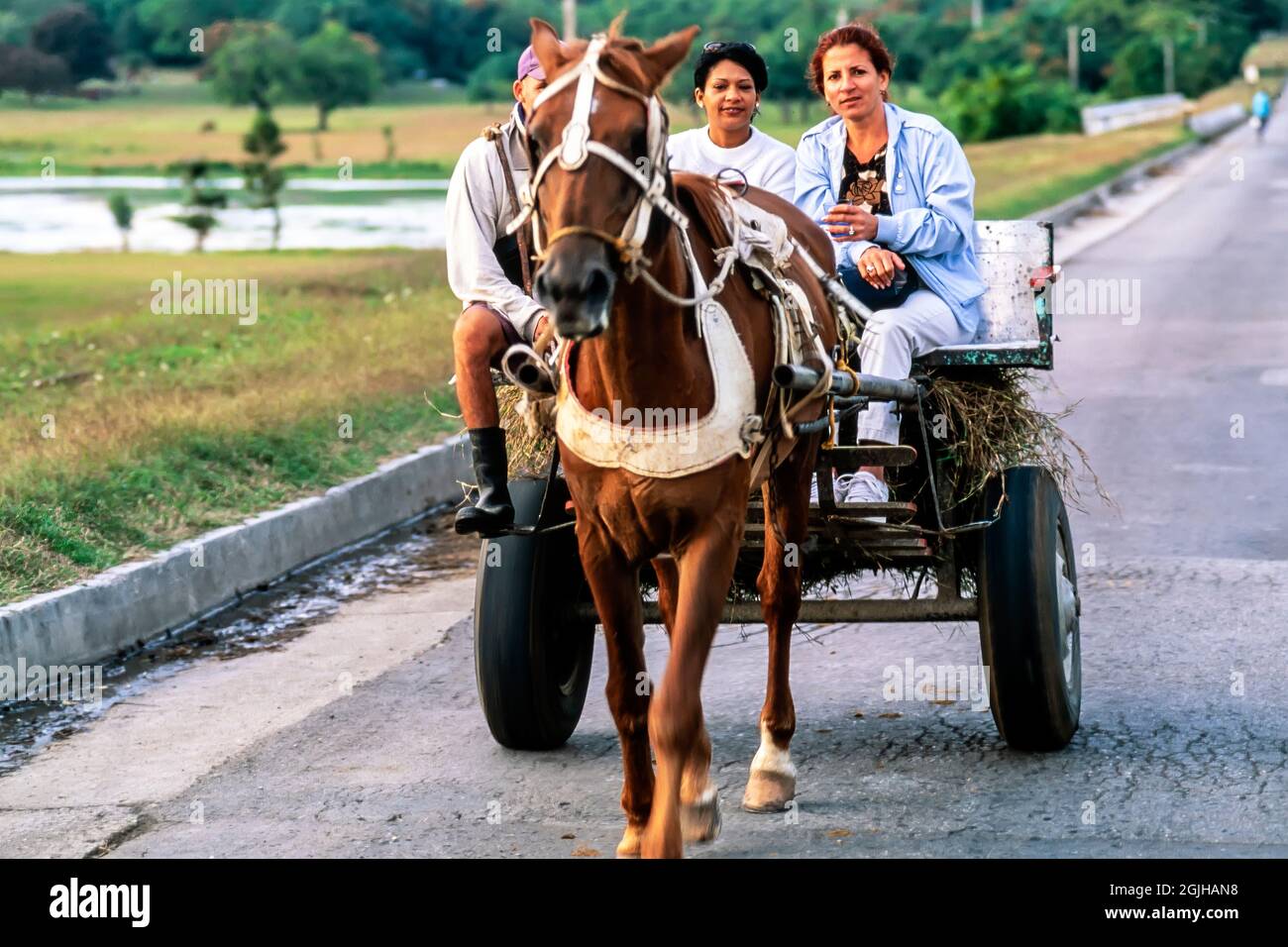 Famiglia a cavallo e cart, Valle de los Ingenios, Trinidad, Cuba Foto Stock