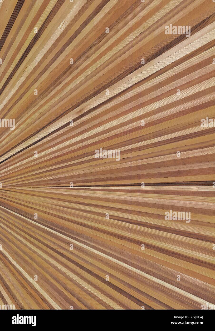 Migliore struttura e superficie in legno naturale ad alta risoluzione per mobili, sole mica, pittura murale, piastrelle per pareti, piastrelle per pavimenti, uso interno, carta da parati, ecc. Foto Stock