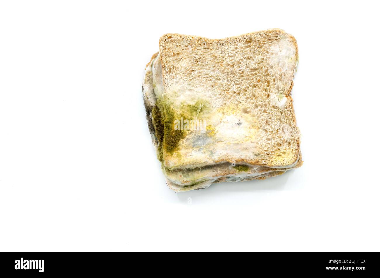 Piatto di pane vecchio che pieno di muffa di pane, chiudere il pane ammuffito su sfondo bianco. Foto Stock