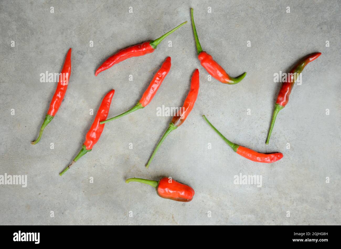 primo piano il mazzo rosso maturo freddo su sfondo grigio fuori fuoco. Foto Stock