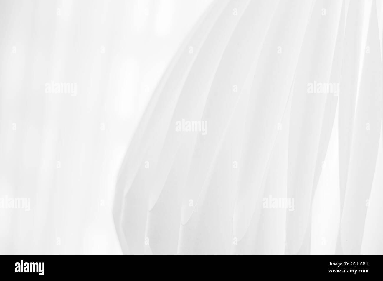 Modello astratto di carta bianca tagliata e piegata per sfondo biglietto da visita. Foto Stock