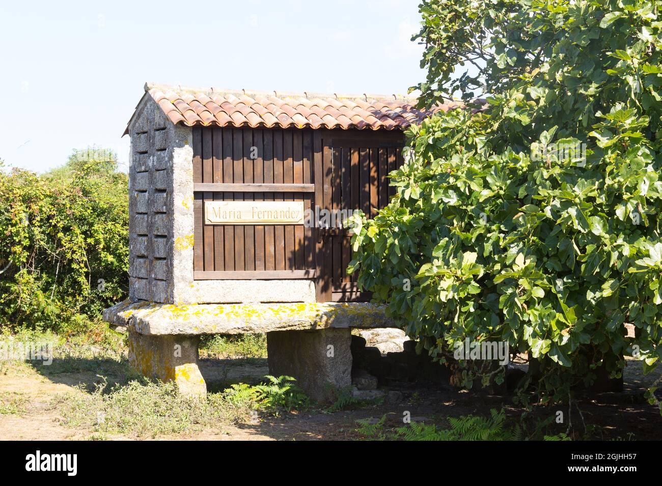 Costruire sollevato dal suolo per immagazzinare grano e prevenire l'umidità e piccoli roditori di rovinare la produzione. Questo tipo di edificio si trova a Gali Foto Stock
