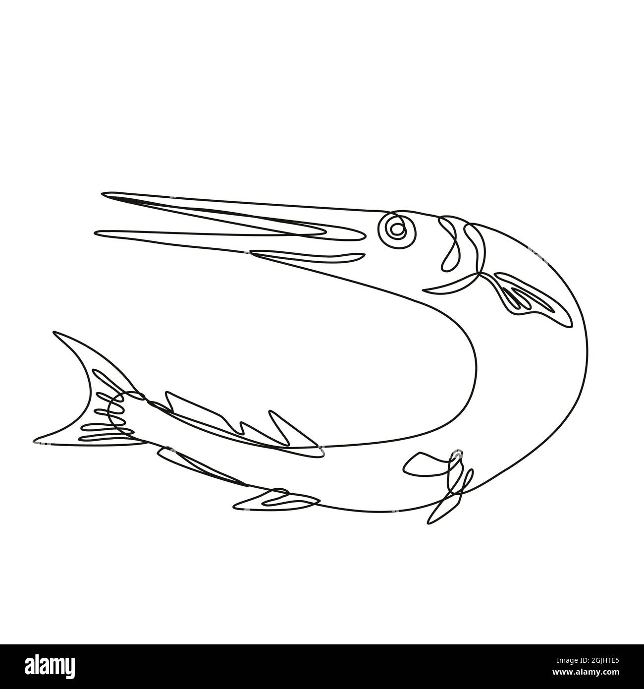 Needlefish o Long Toms saltando su disegno di linea Foto Stock