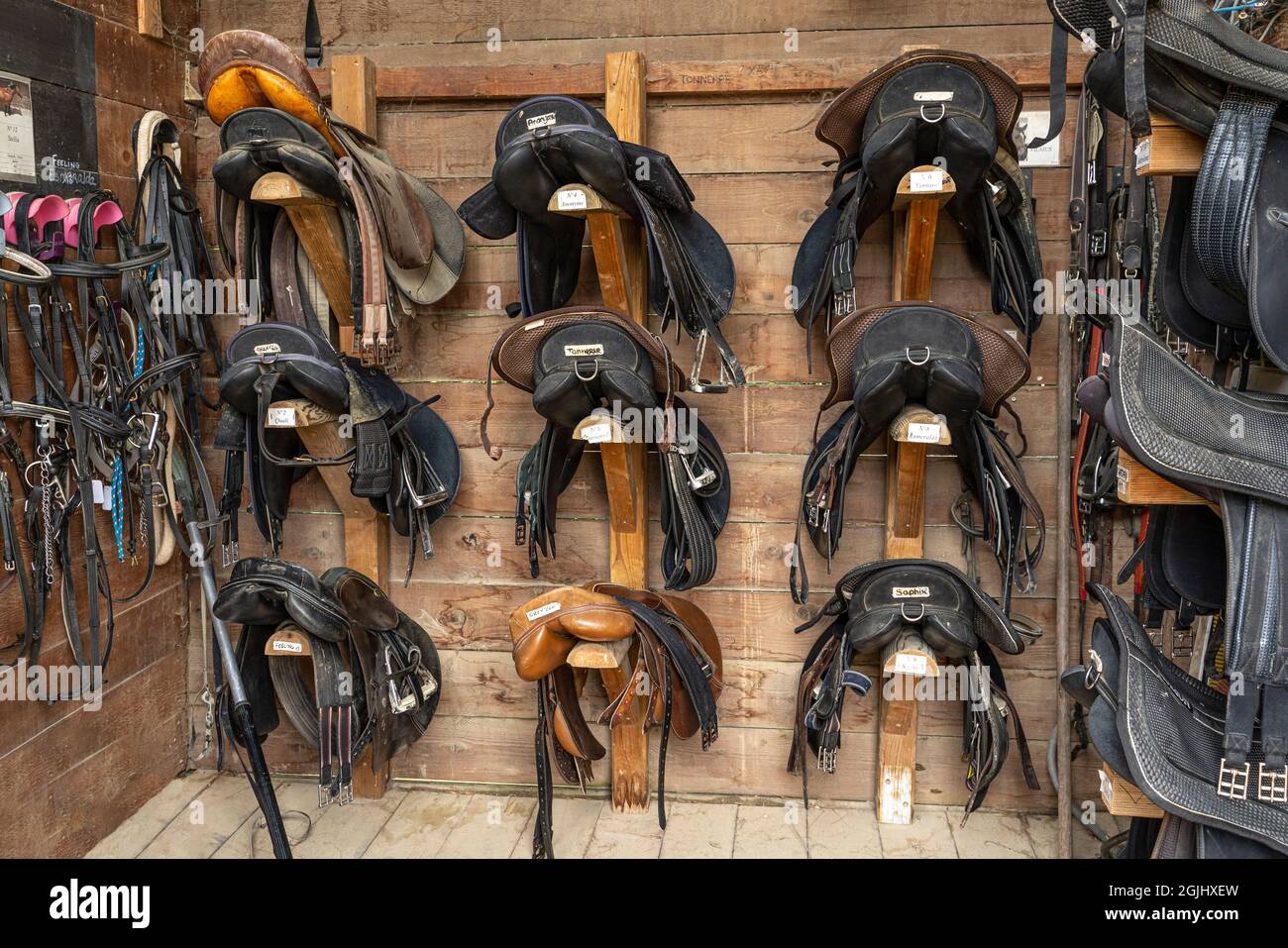 Deposito con imbracatura: Selle e bridle per cavalli appesi alla parete. Lione, Francia, Europa Foto Stock