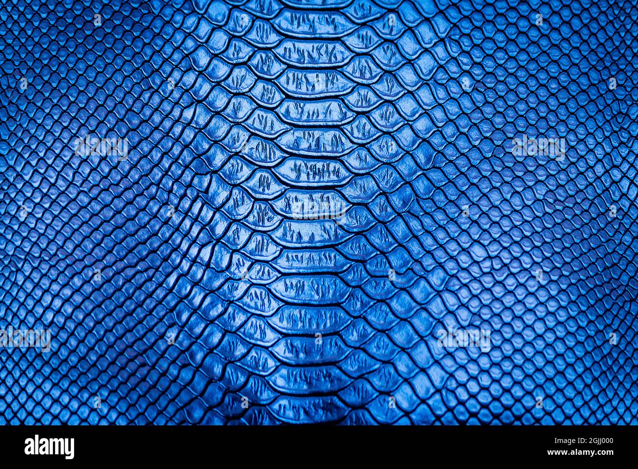 Blu serpente pelle motivo texture sfondo Foto Stock