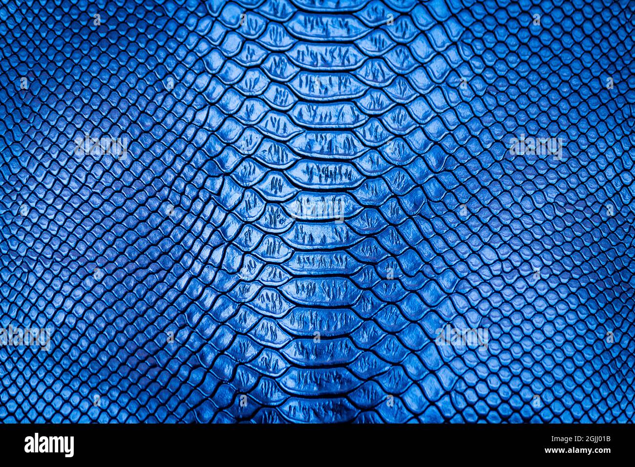Blu serpente pelle motivo texture sfondo Foto Stock