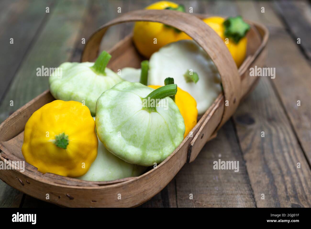 Un abbraccio Sussex pieno di pan di zucca bianca e gialla - White Bush Scallop e Yellow Bush Scallop. Foto Stock