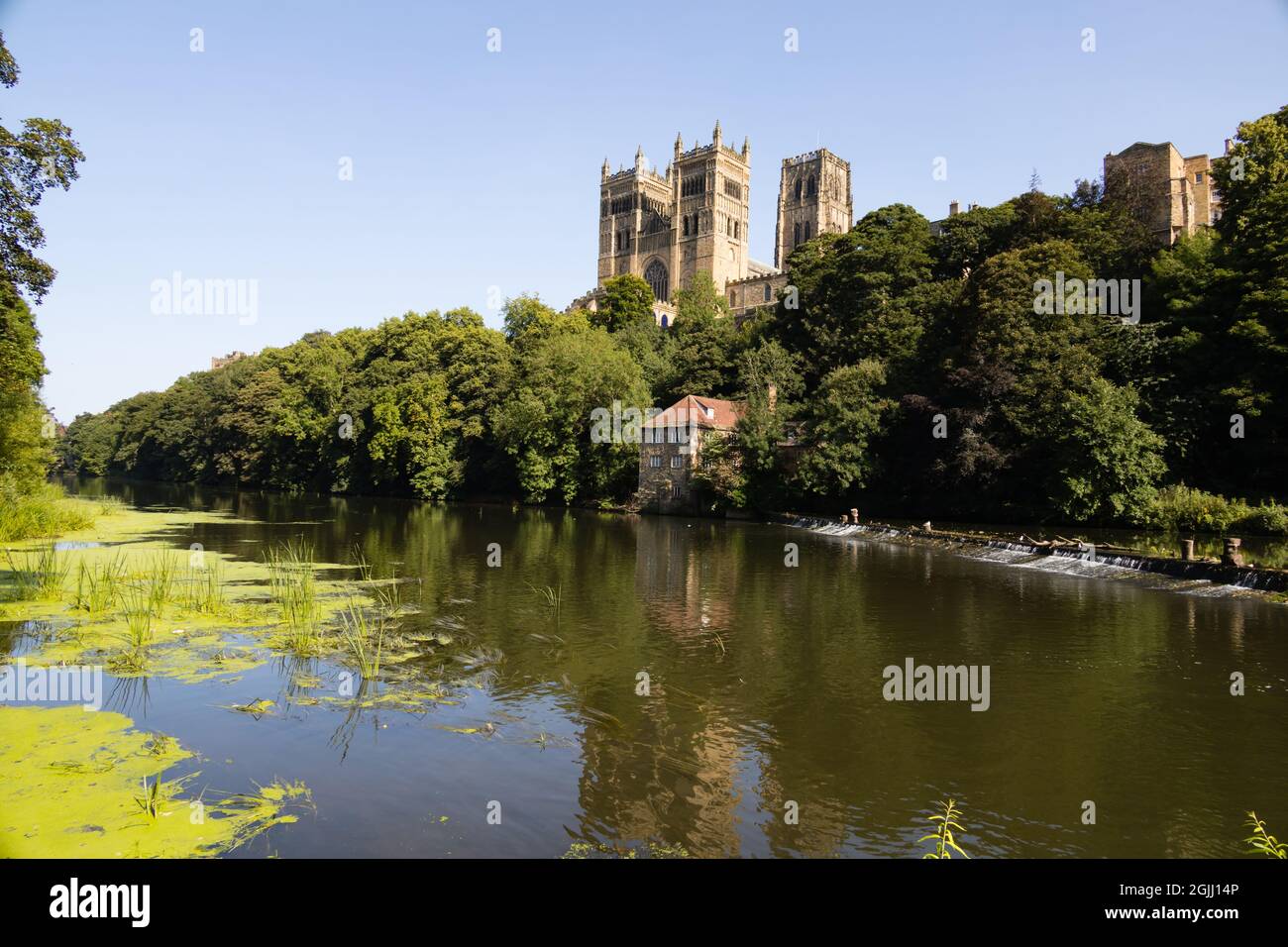 Cattedrale di Durham con l'abbigliamento del fiume. Durham, Contea di Durham, Inghilterra Foto Stock