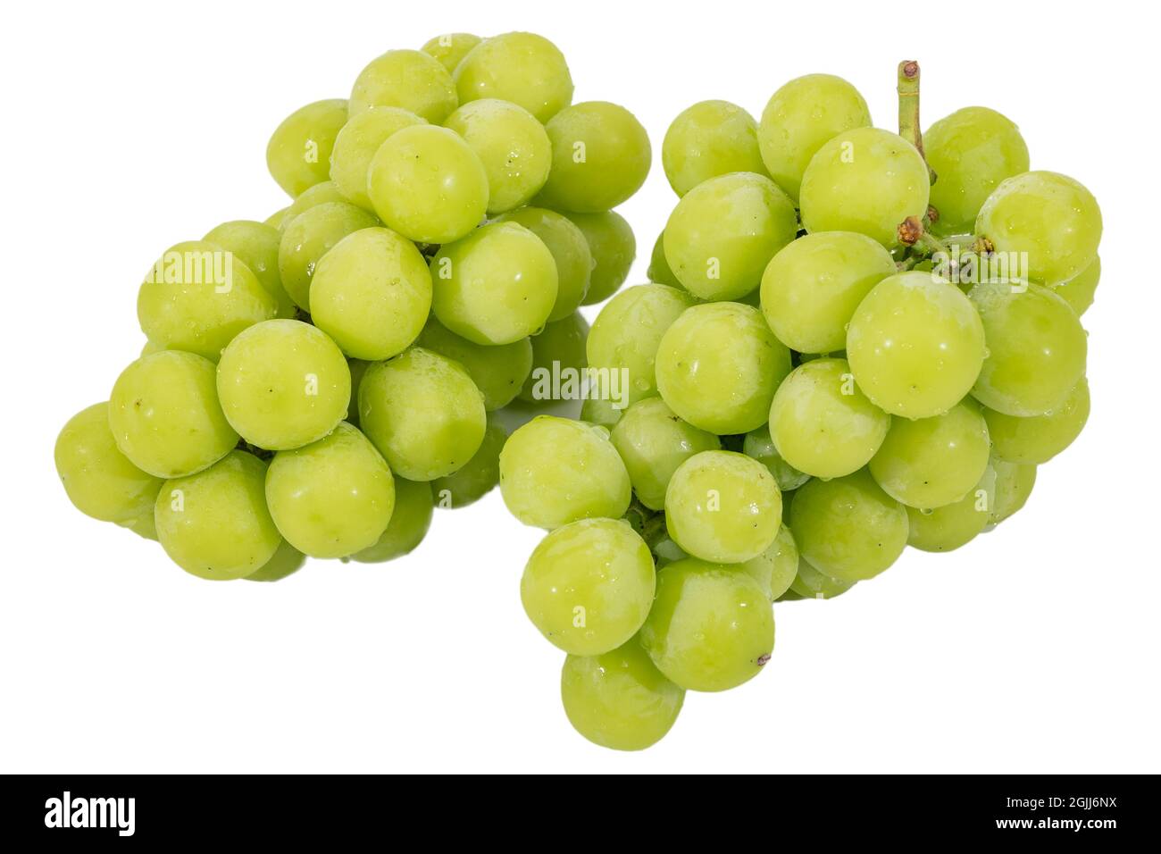 Shine uva Moscato isolato su sfondo bianco. Foto Stock