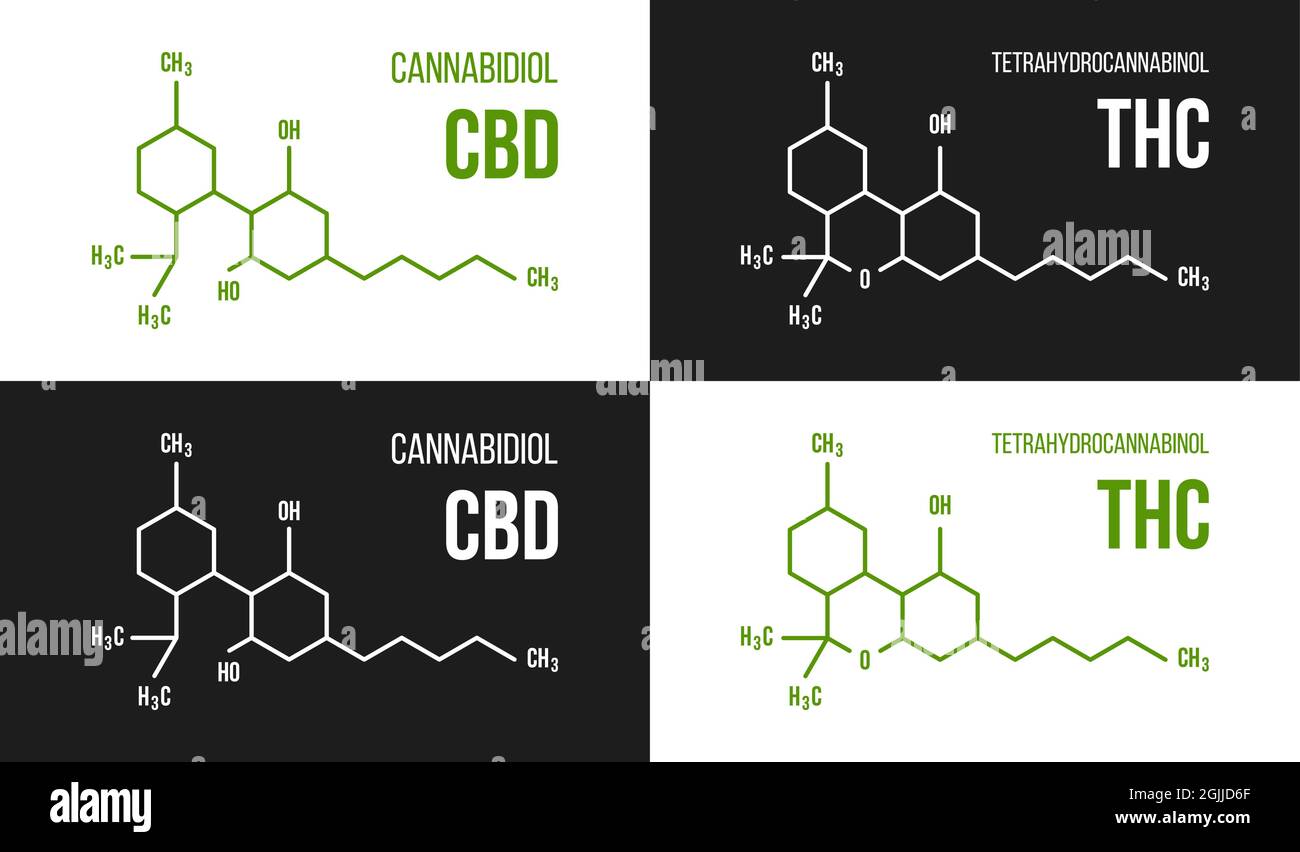 Set di illustrazioni della struttura molecolare THC e CBD. Cannabinolo e tetraidrocannabinolo formula di cannabis Illustrazione Vettoriale