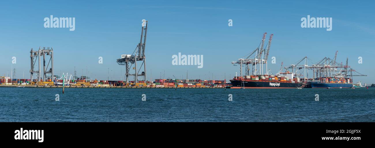 Porto di Southampton (Southampton banchine) in Hampshire, Inghilterra, Regno Unito. Vista panoramica del porto di carico. Foto Stock