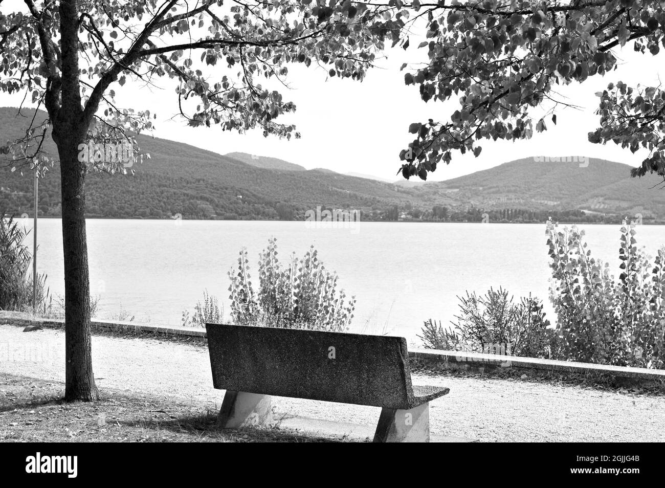 Un'isolata panchina vuota sotto l'albero in un parco pubblico vicino a una passerella pedonale di fronte al Lago Trasimeno (Umbria, Italia, Europa) Foto Stock