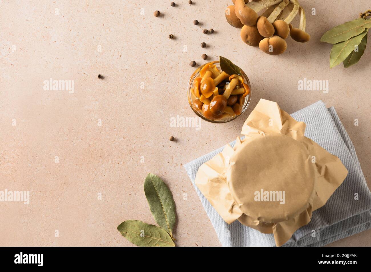 Funghi di miele sottaceto serviti in ciotola con foglia di alloro e spezie su sfondo beige. Vista dall'alto. Spazio di copia. Foto Stock