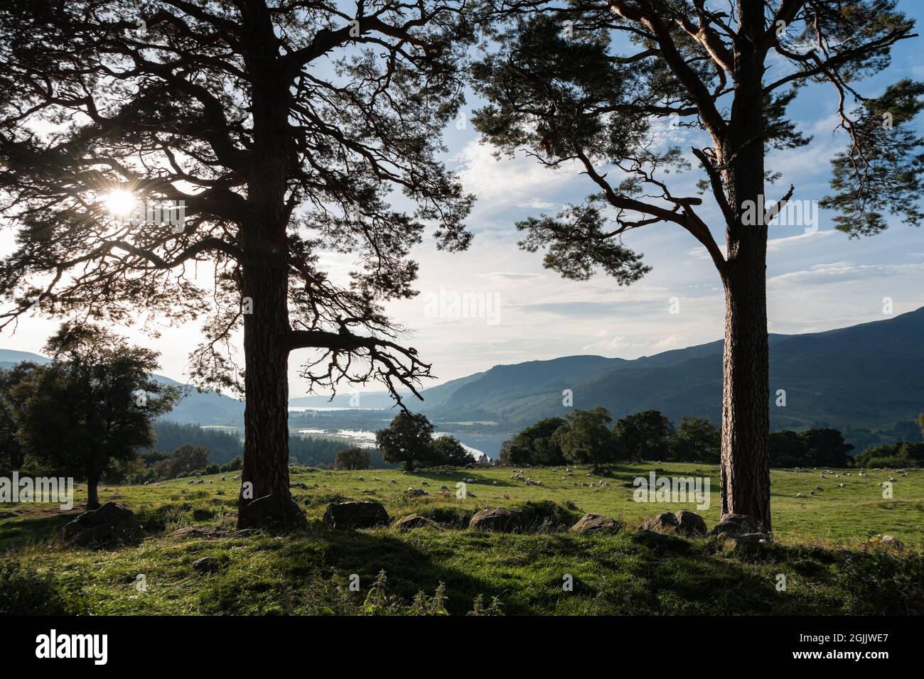 Craigh na Dun - location delle riprese di Outlander - Dunalastair Estate, Kinloch Rannoch, Perthshire, Scozia, Regno Unito Foto Stock