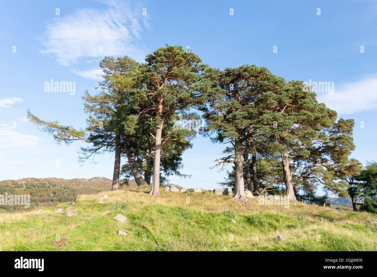 Craigh na Dun - location delle riprese di Outlander - Dunalastair Estate, Kinloch Rannoch, Perthshire, Scozia, Regno Unito Foto Stock