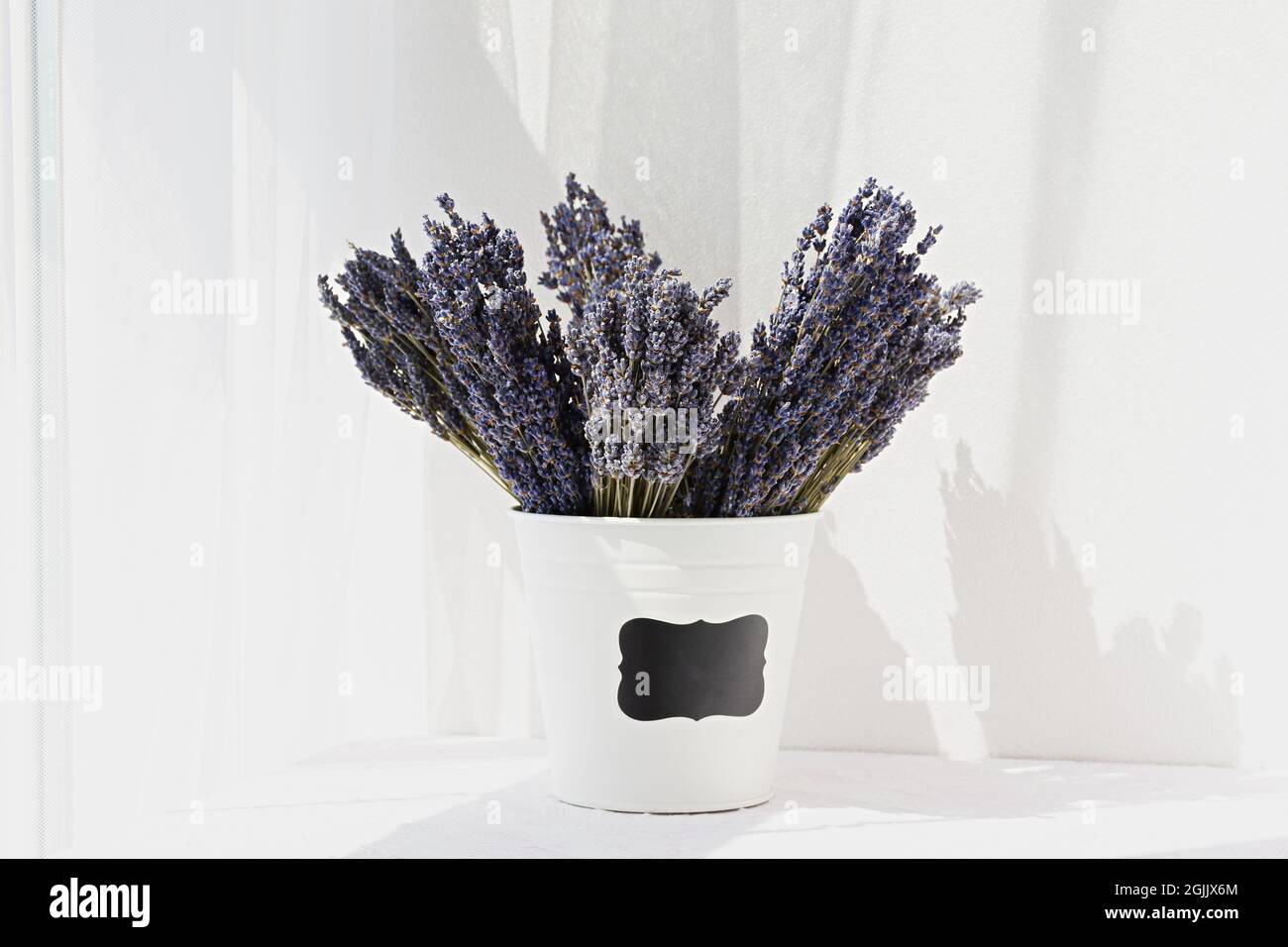 Lavanda asciutta in mazzi su sfondo bianco da vicino. Raccolta di fragranti fiori estivi. Preparazione pre-vendita. Il concetto di aromaterapia, cosmet Foto Stock