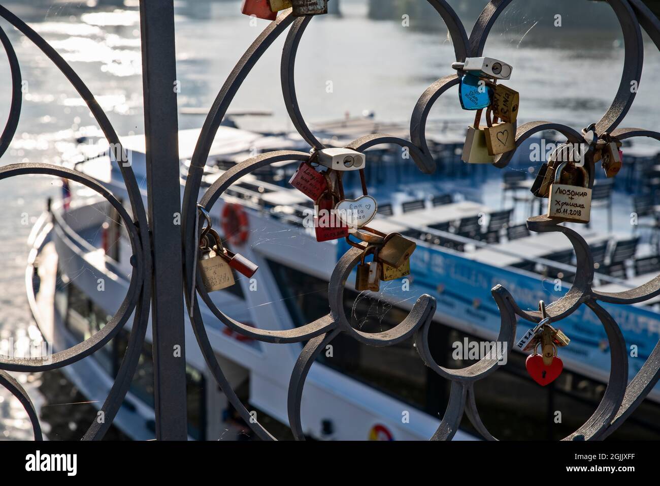 Vista di un'escursione in barca a Francoforte sul meno dal Molo di ferro Foto Stock