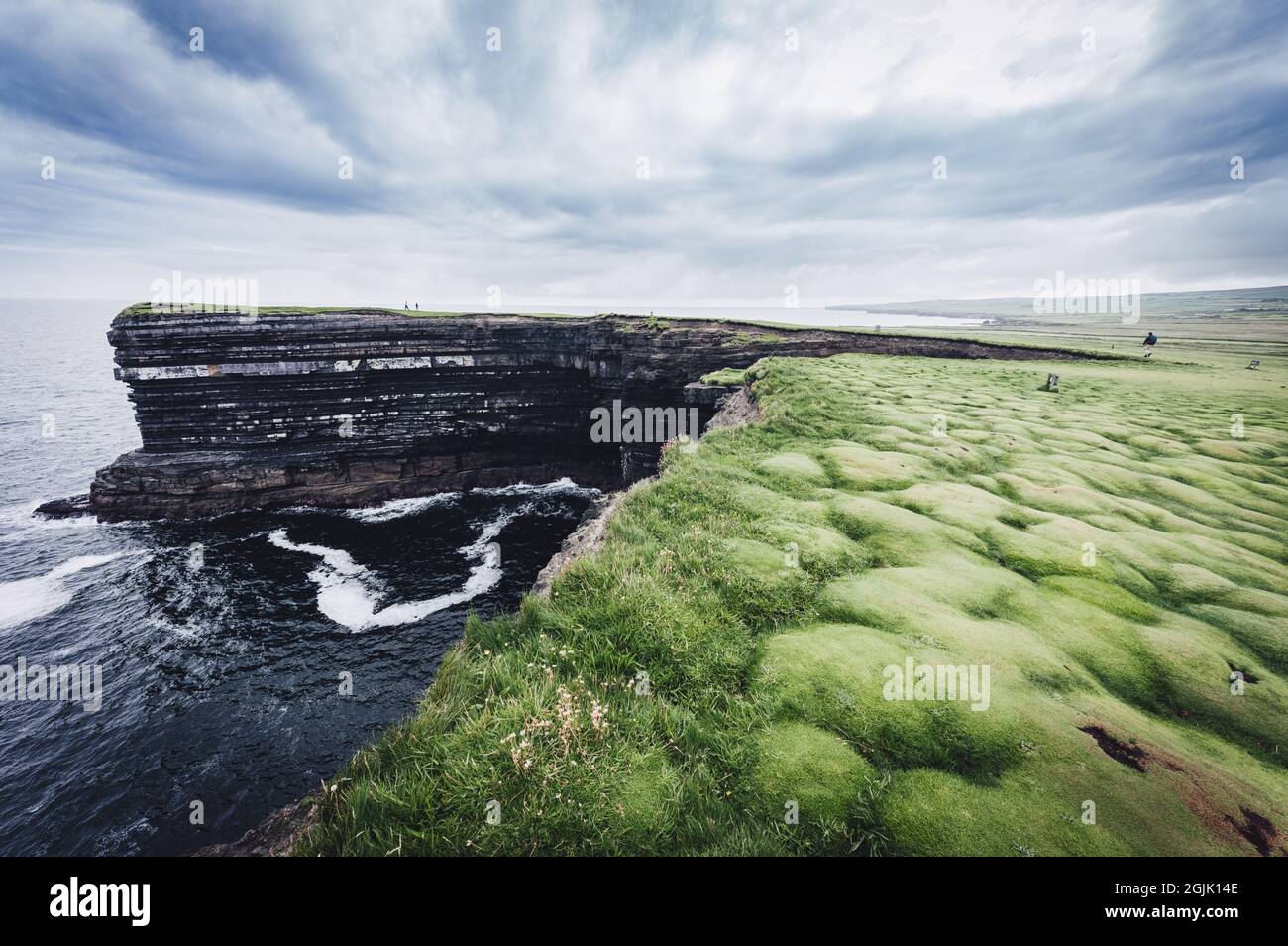 Downpatrick testa roccia e tappeto verde di morbide bolle d'erba. Irlanda Foto Stock