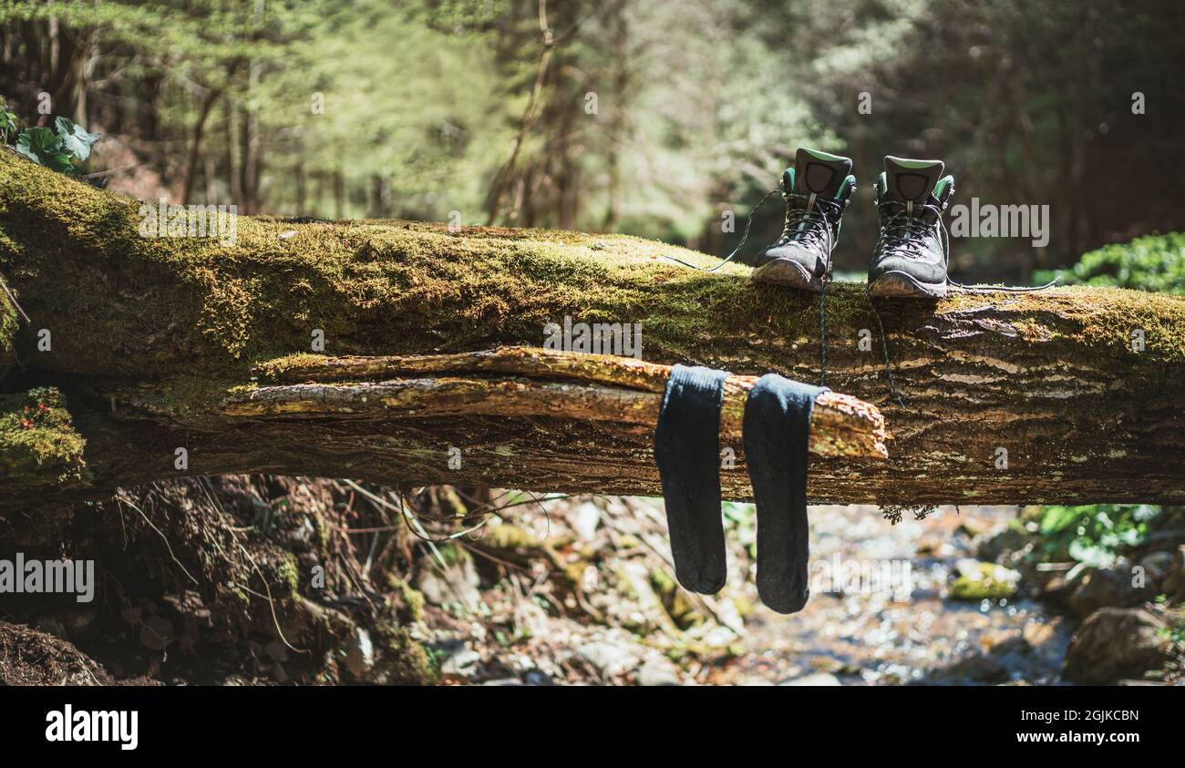 Coppia di stivali alti da trekking che si asciugano con calze bagnate sullo  sfarzato su un ruscello di foresta sotto il caldo sole autunnale. Persone  attive nella natura c Foto stock -