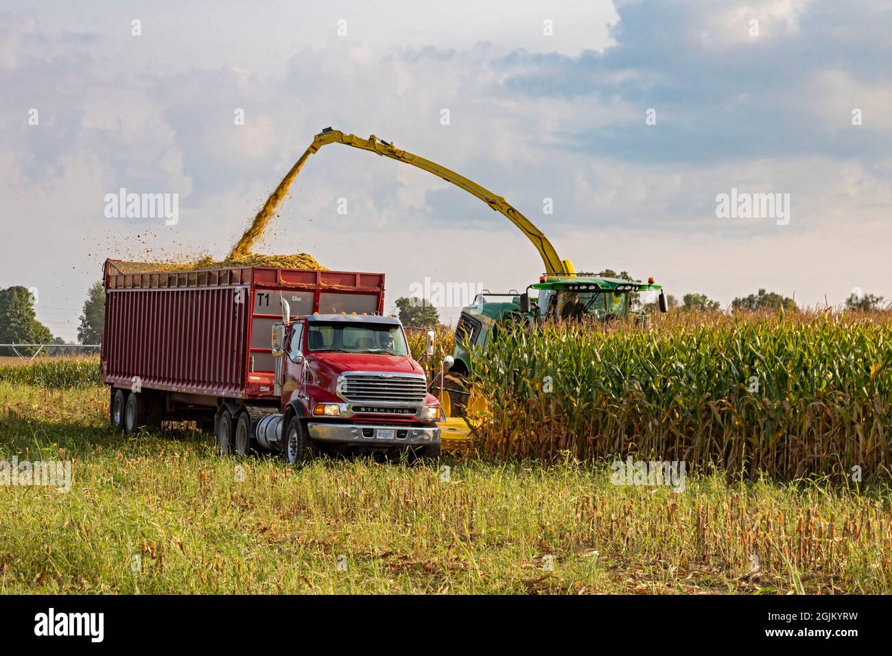 Hickory Corners, Michigan - il mais viene raccolto in un'azienda agricola del Michigan utilizzando le trinciacaricatrici John Deere. Il granoturco è trucked al vicino Prairie View da Foto Stock