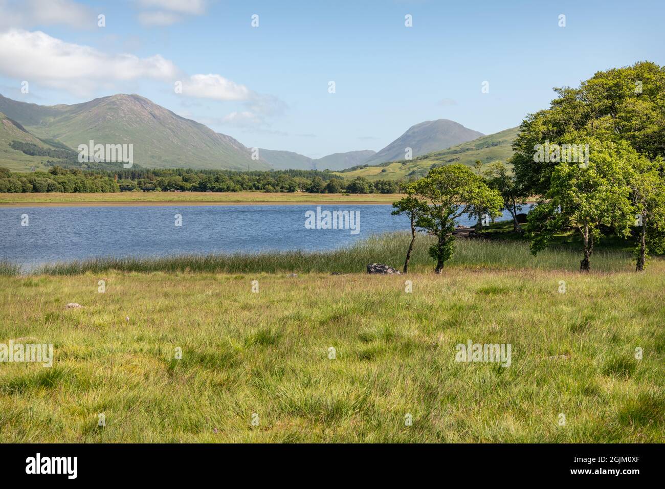Loch awe, Freshwater Loch ad Argyll e Bute, Scozia Foto Stock
