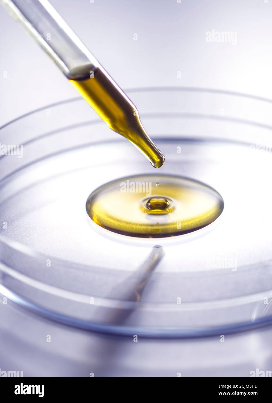 Olio di cannabidiolo Foto Stock