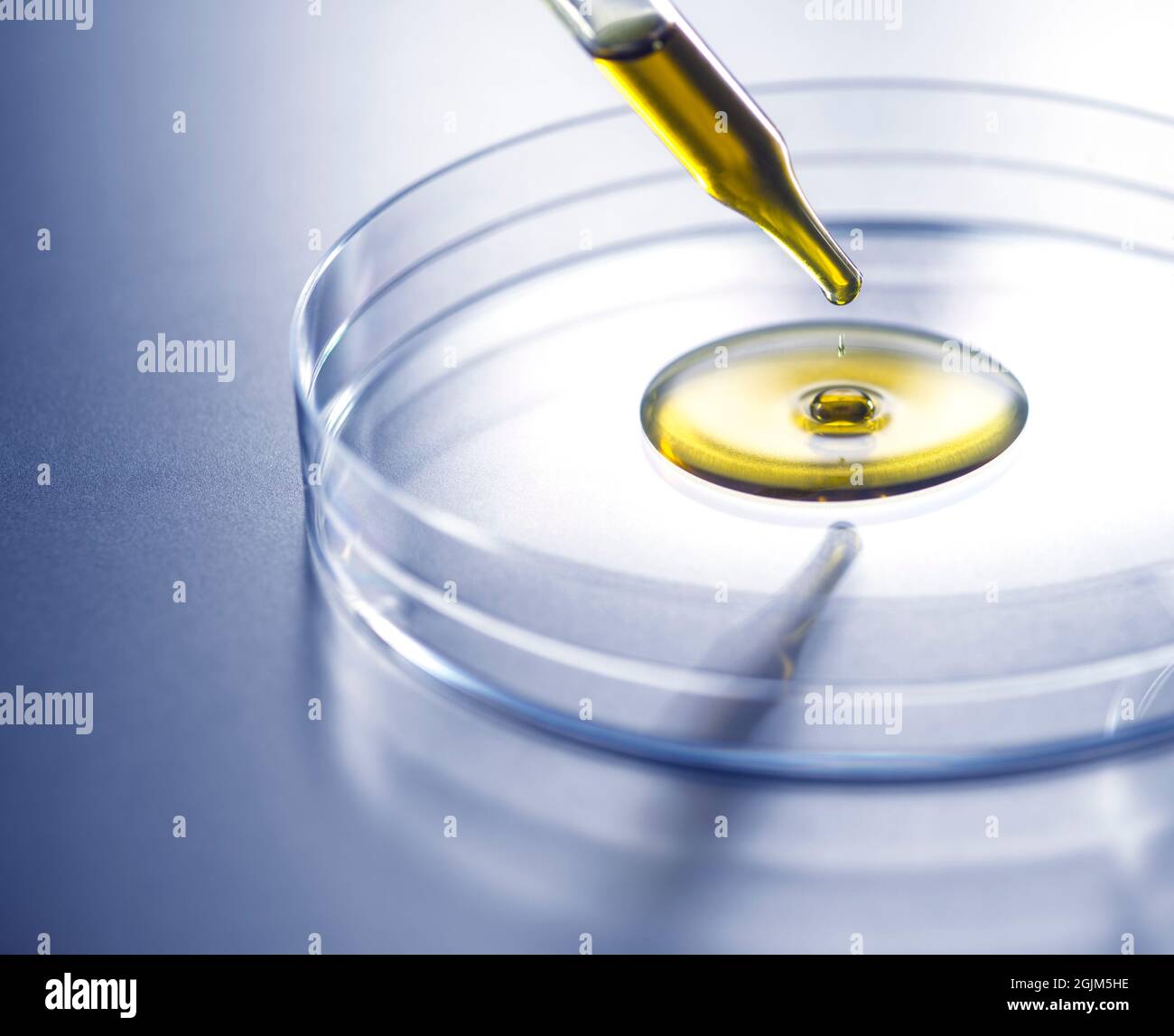 Olio di cannabidiolo Foto Stock