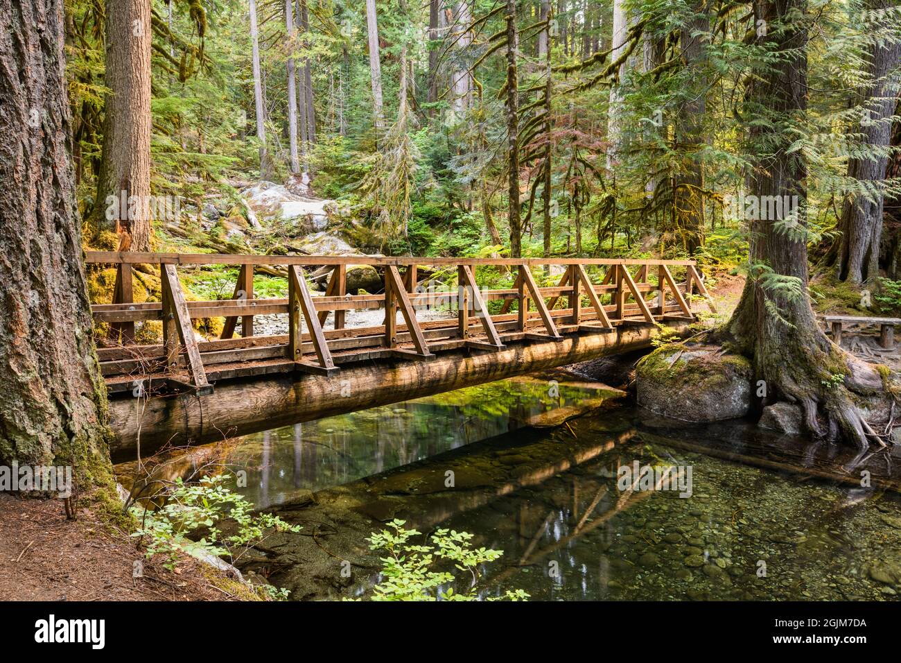 Una passerella in legno attraversa un lento ruscello alle cascate Deception Falls nella Mount Baker Snoqualmie National Forest. Foto Stock