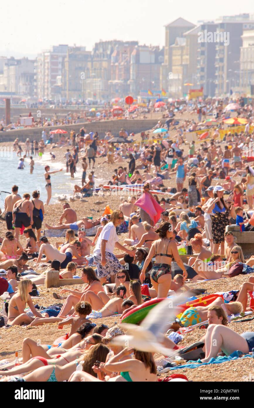 Spiagge affollate del centro di Brighton e Hove. A ovest del molo del Palazzo di Brighton. Vacanze estive. Sussex, Inghilterra, Regno Unito Foto Stock