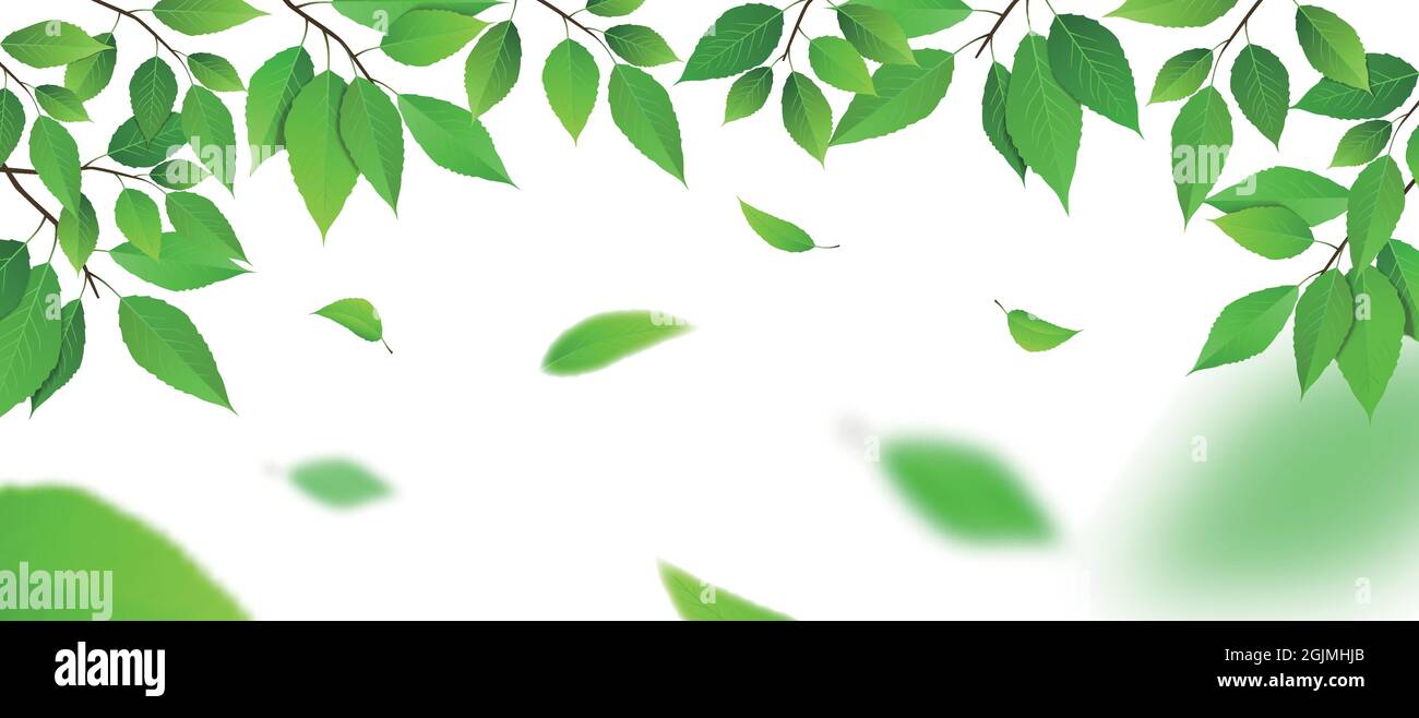 Foglie verdi in caduta. Illustrazione vettoriale. Illustrazione Vettoriale