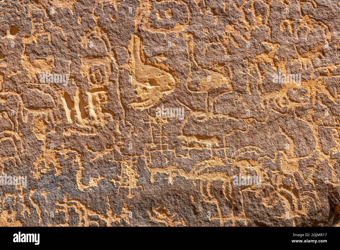 Immagini petroglifiche di animali sulla roccia dei Graffiti (Qaryat al Asba), Musayqirah, Provincia di Riyadh, Arabia Saudita Foto Stock