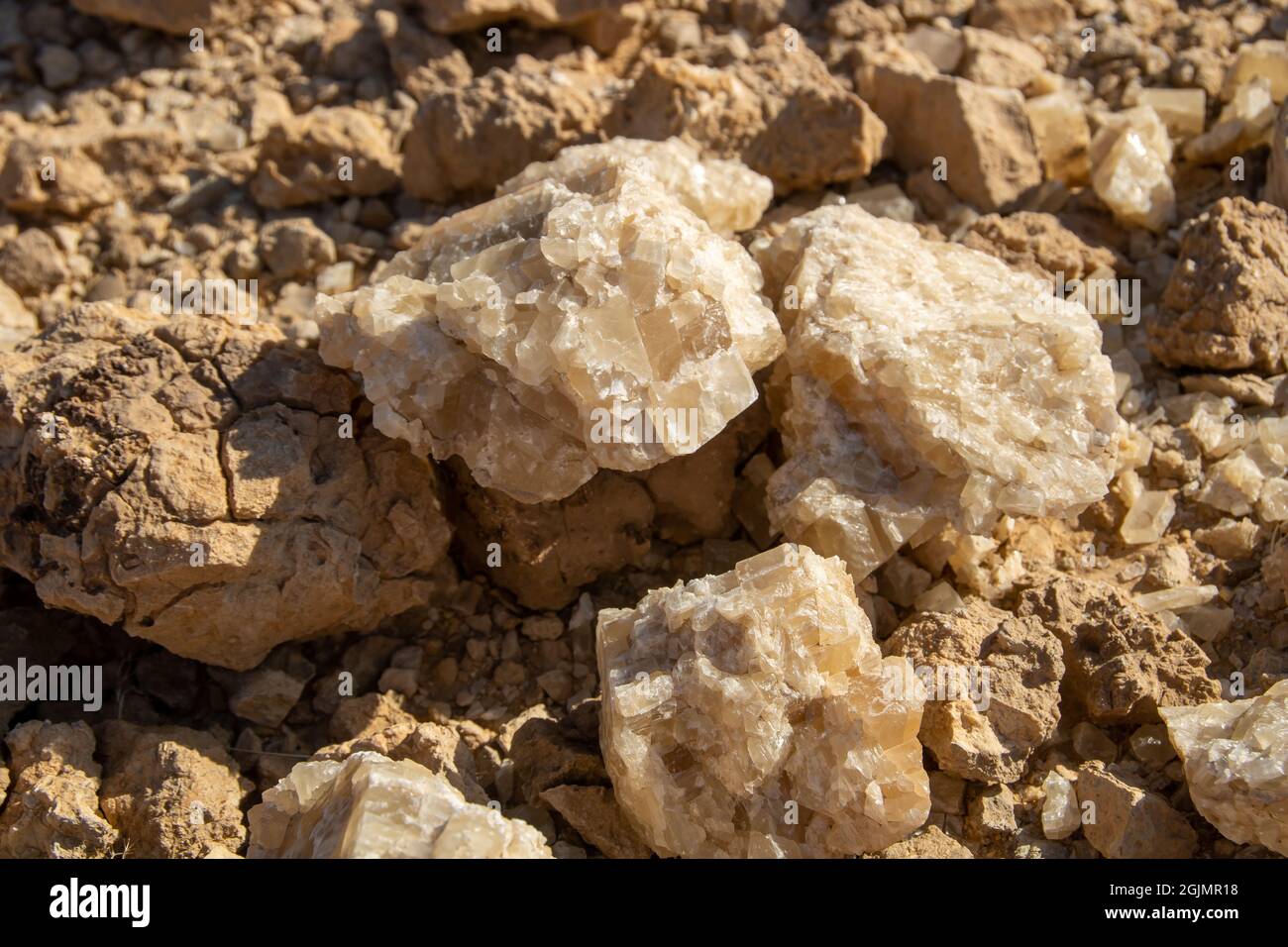 Cristalli di quarzo di latte naturale nel deserto Saudita Foto Stock