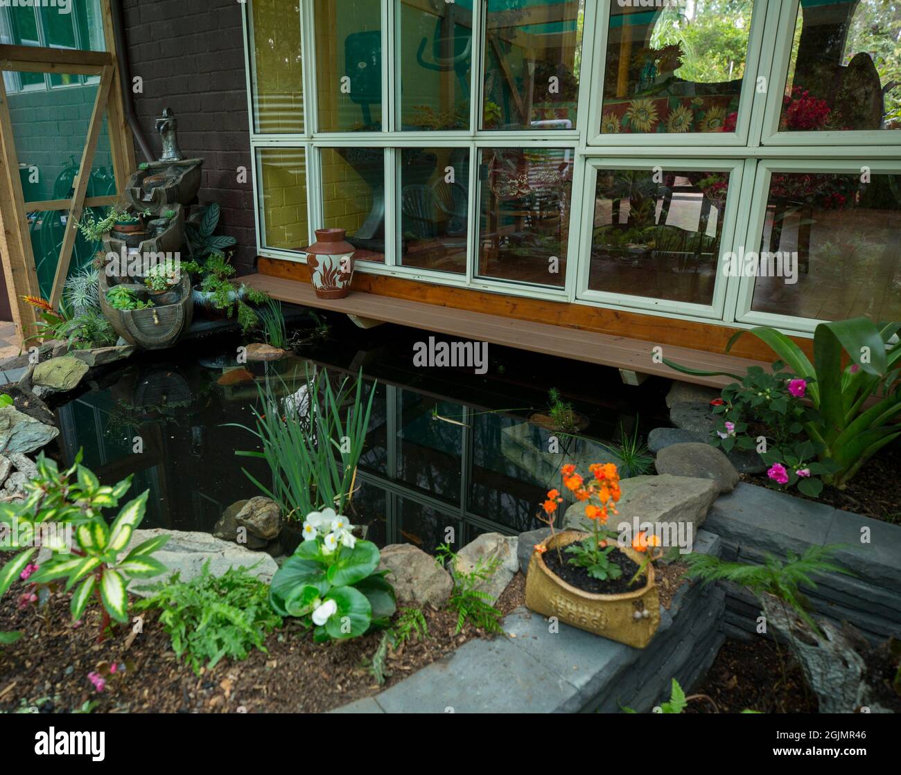 Cortile giardino acqua caratteristica con stagno circondato da piante colorate in Australia Foto Stock