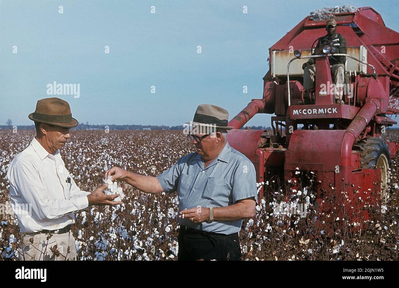 USA Georgia 1967. Un coltivatore che ispeziona un campo di cotone per vedere se è pronto a raccogliere. Sullo sfondo la macchina utilizzata per la raccolta. Kodachrome vetrino originale. Georgia Credit Roland Palm Ref 6-4-6 Foto Stock