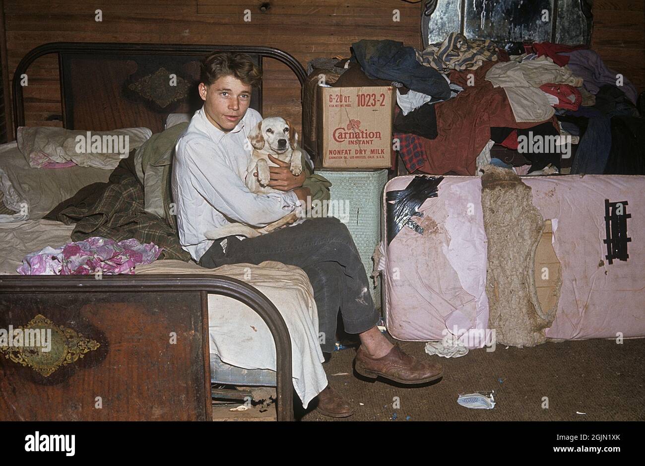 USA Alabama 1967. Un ragazzo con il suo cane raffigurato in casa, un ambiente visibilmente povero. Kodachrome vetrino originale. Credit Roland Palm Ref 6-6-9 Foto Stock