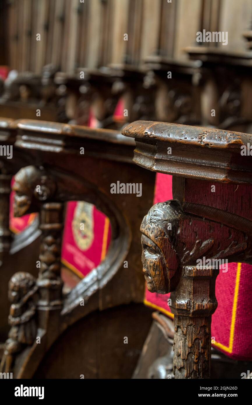 Particolare di Un Pew in legno intagliato, parte dei 39 Misericords, Mercy Seat, in Christchurch Priory, UK Foto Stock