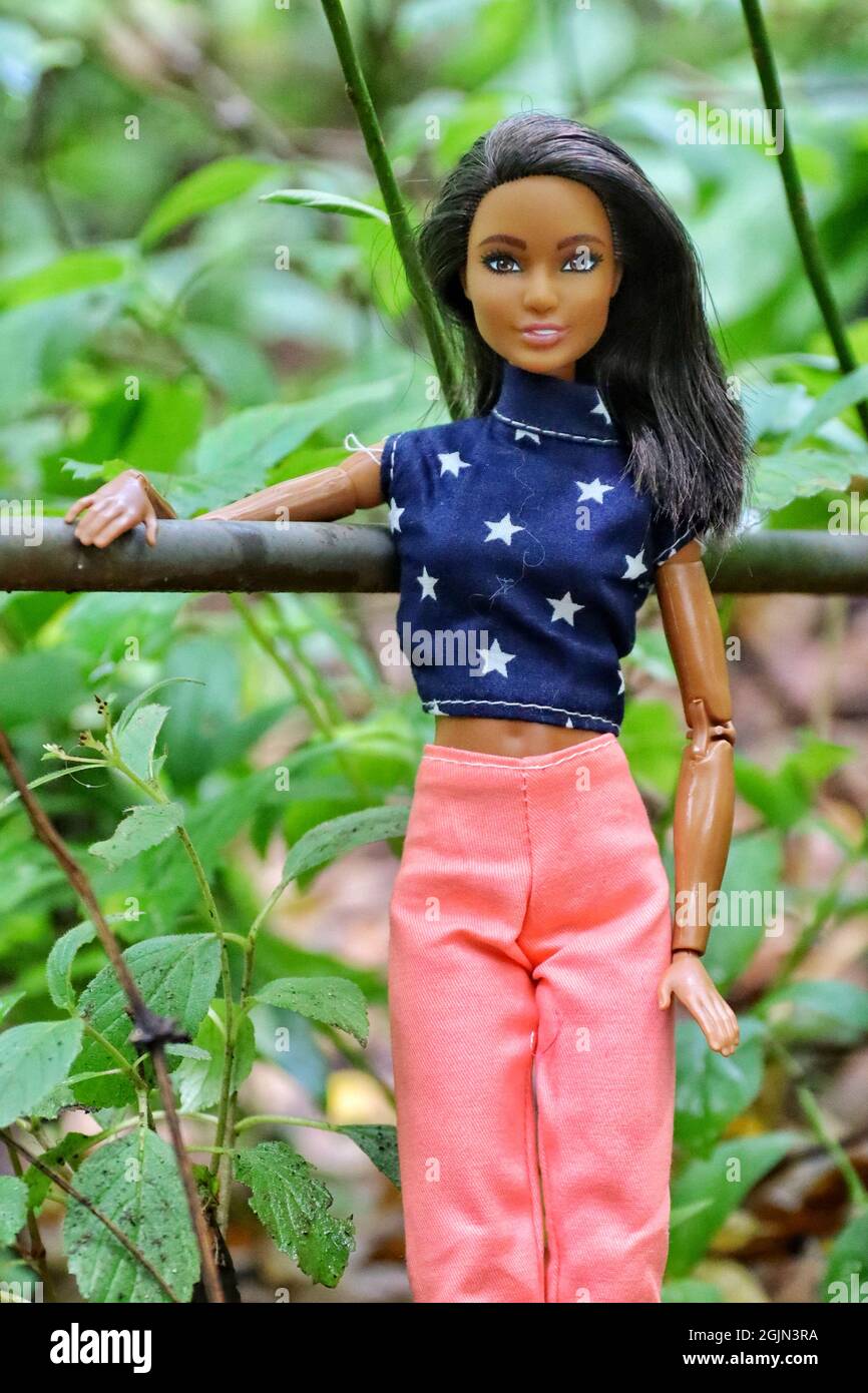 GREENVILLE, STATI UNITI D'AMERICA - 16 agosto 2021: Un primo piano di una bambola Barbie con pelle scura brunetta Foto Stock
