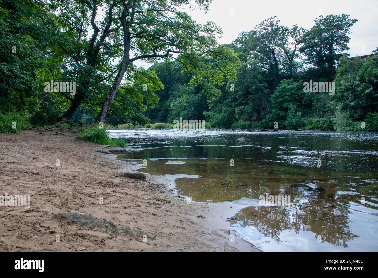 River Wear, County Durham in estate Foto Stock