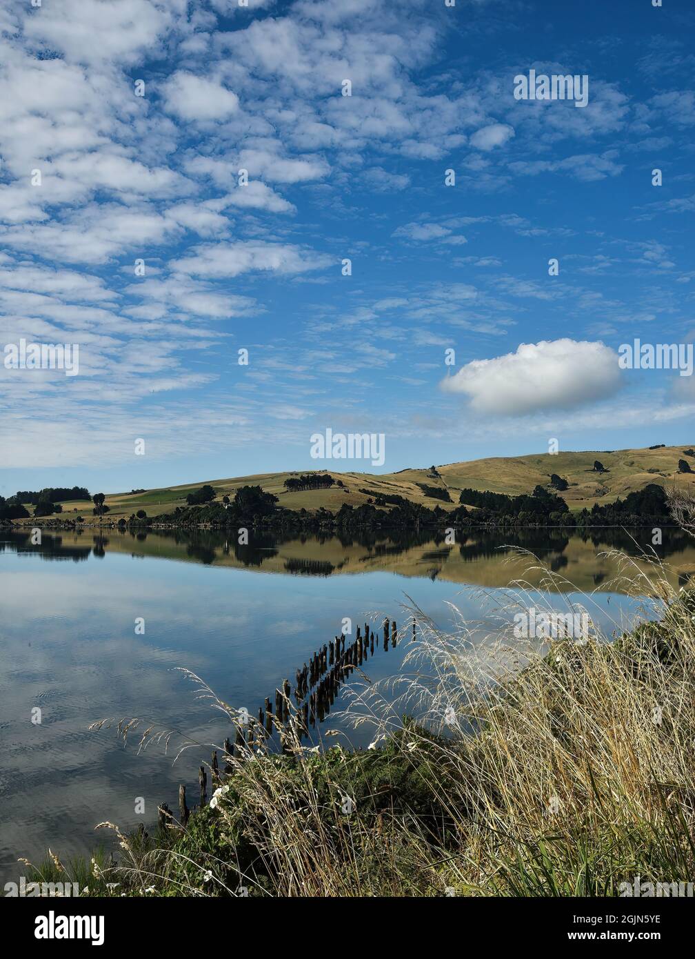 lago caitlin, orago, nuova zelanda Foto Stock
