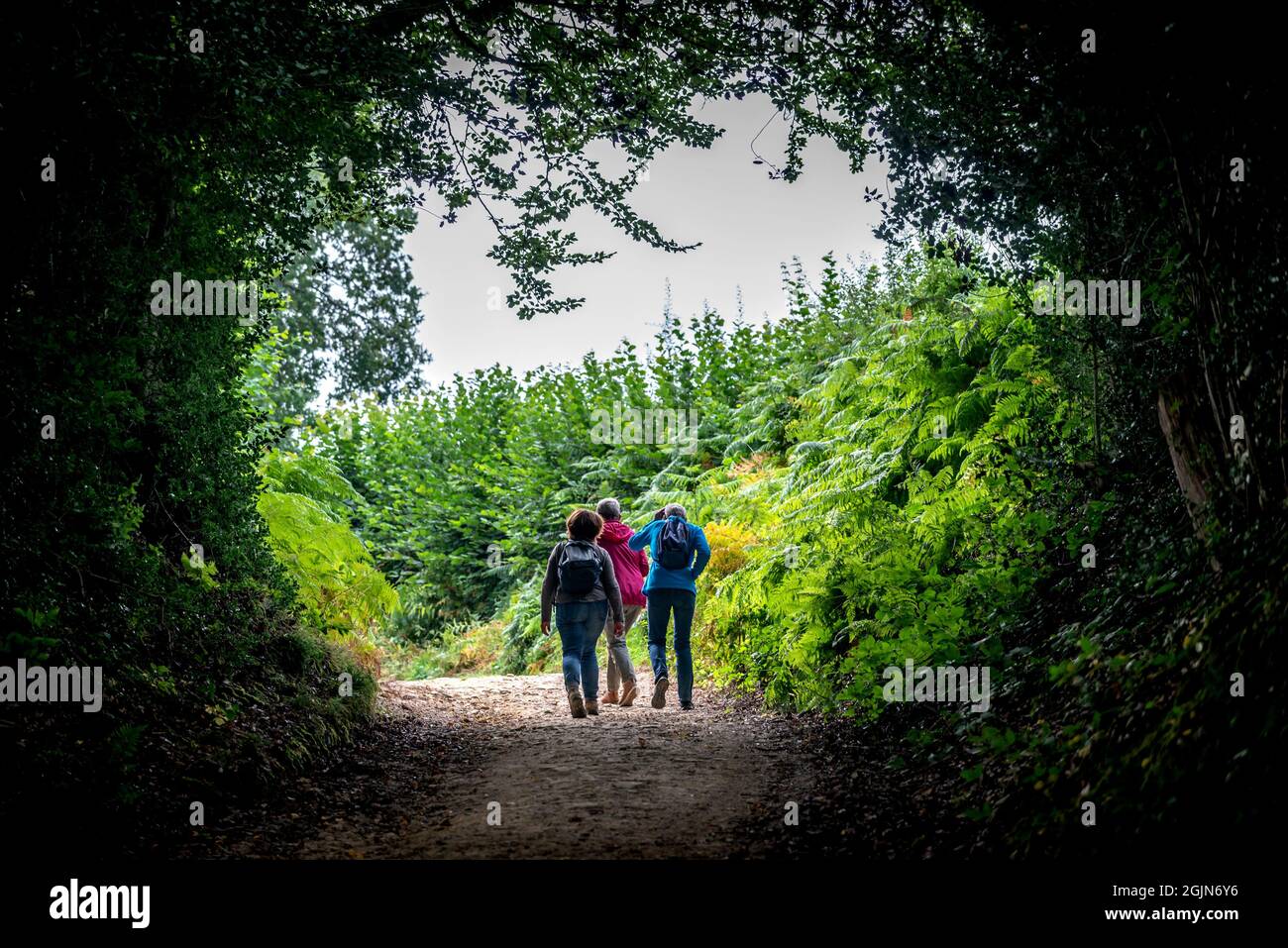 Bewl, 4 settembre 2021: I visitatori godono i piaceri del bacino idrico di Bewl sul confine tra il Kent e il Sussex Foto Stock