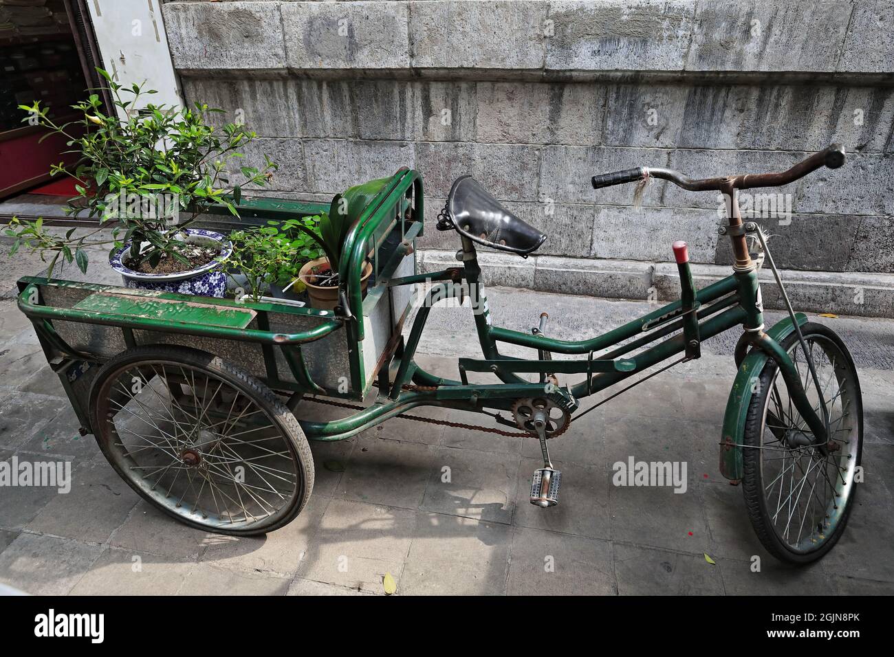 Vecchio trike verde di trasporto di piante in plantpot. Shuyuanmen-Calligraphy Street-Xi'an-China-1566 Foto Stock